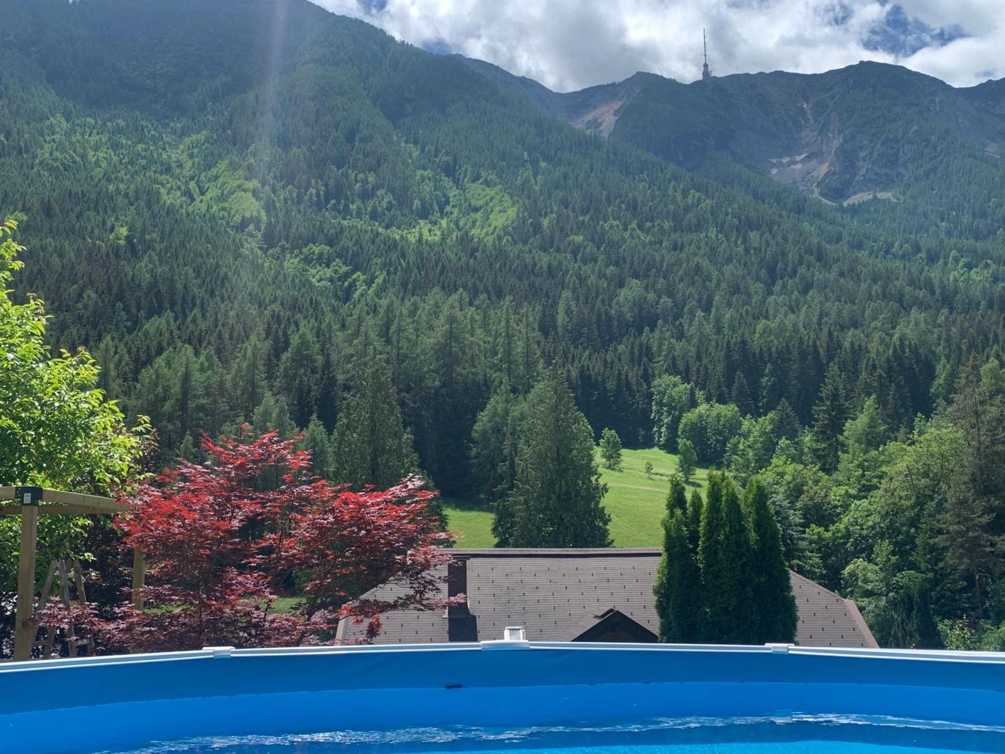 Ferienwohnung Mit Bergblick In Bad Bleiberg Esterno foto